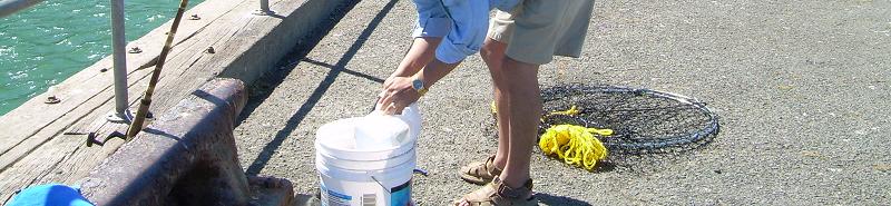 californiacrabbing.com header